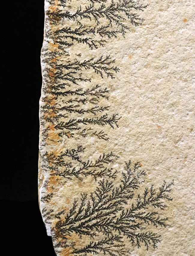 サービスプライス！世界的な名産地、ドイツ・ゾルンホーフェンが生み出した、深遠なナチュラルアートデンドライト（Dendrite）の大判標本（その4）