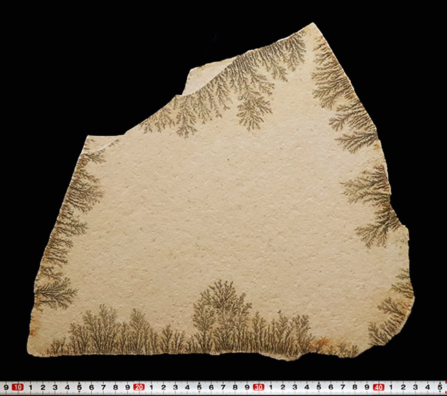 サービスプライス！世界的な名産地、ドイツ・ゾルンホーフェンが生み出した、深遠なナチュラルアートデンドライト（Dendrite）の大判標本（その7）