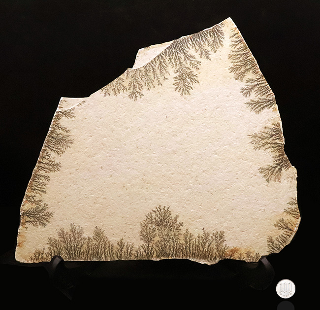 サービスプライス！世界的な名産地、ドイツ・ゾルンホーフェンが生み出した、深遠なナチュラルアートデンドライト（Dendrite）の大判標本（その8）