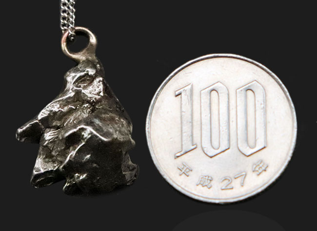 約46億年前に起源を持つとされる、最も有名な鉄隕石の一つ、カンポ・デル・シエロをあしらったペンダントトップ（シルバーチェーン＆高級ジュエリーケース付き）（その7）