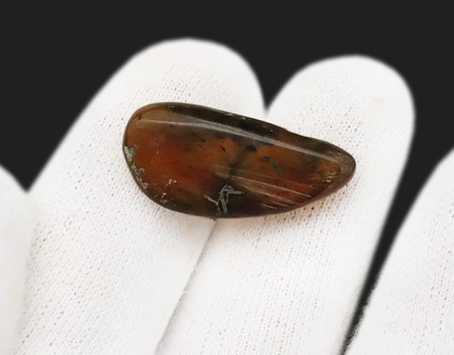 大地を恐竜がのしのしと歩いていた時代に形成された琥珀、バーマイト（Burmite）の大サイズ標本（その5）