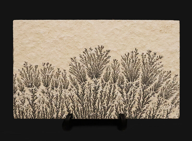 植物か、鉱物か？かつての科学者を驚かせた自然のトリックアート。ドイツ・ゾルンホーフェン産高品質デンドライト（Dendrite）（その1）