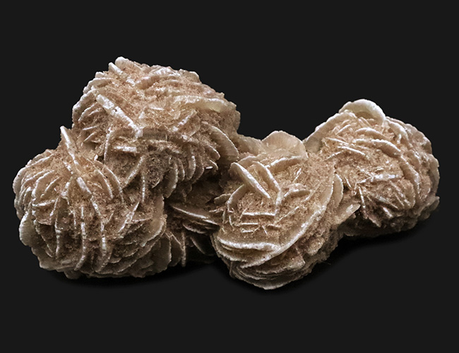 サハラ砂漠に咲いたセレナイトの結晶、「砂漠のバラ」(Desert Rose)(その2)