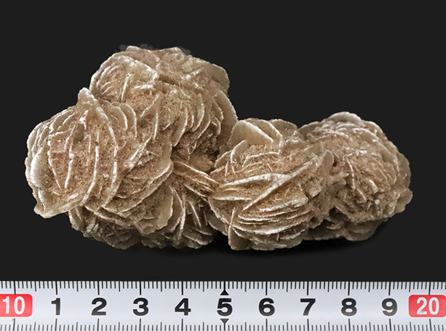 サハラ砂漠に咲いたセレナイトの結晶、「砂漠のバラ」(Desert Rose)(その7)