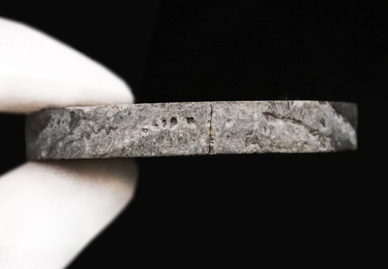 かつて赤道付近にあったアイルランド産の絶滅した四放サンゴ「サイフォノフィリア（Siphonophyllia）」の化石（その6）