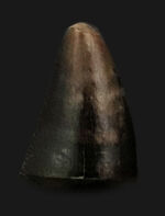 お客様の声　写真