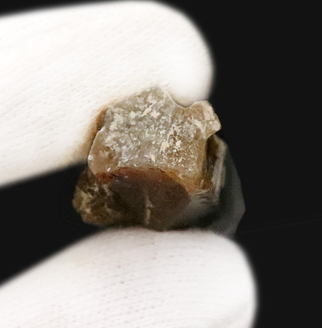 国産マニアックシリーズ。オールドコレクション。大分県尾平鉱山産のガーデンクォーツ（Garden Quartz）（その5）