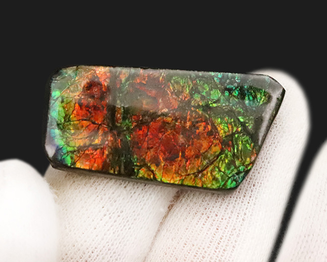 非常に深みのあるオレンジとグリーンが織りなす、生物起源の宝石「アンモライト(Ammolite)」のピース(その3)