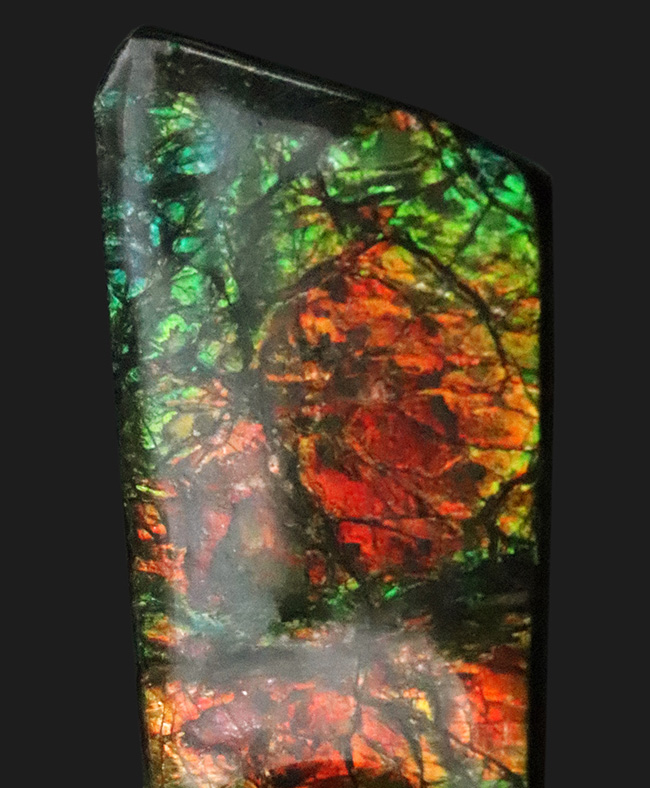 非常に深みのあるオレンジとグリーンが織りなす、生物起源の宝石「アンモライト(Ammolite)」のピース(その4)