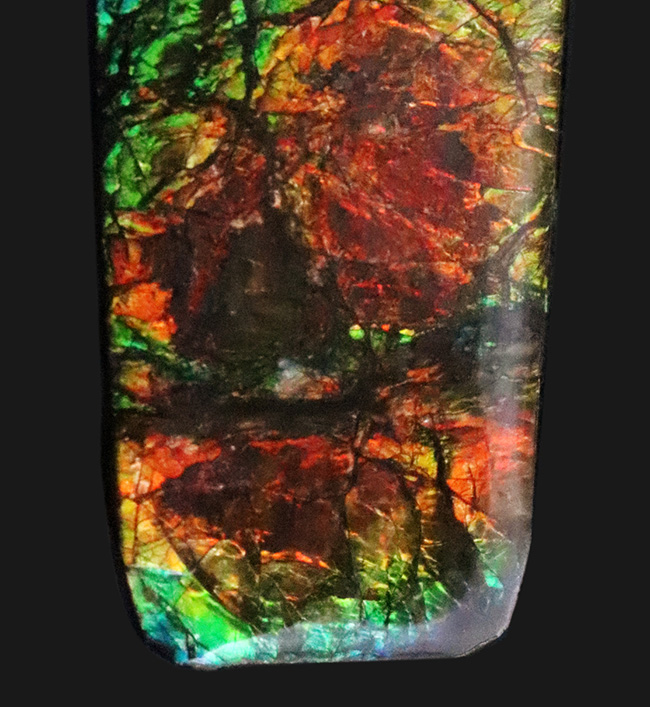 非常に深みのあるオレンジとグリーンが織りなす、生物起源の宝石「アンモライト(Ammolite)」のピース(その5)