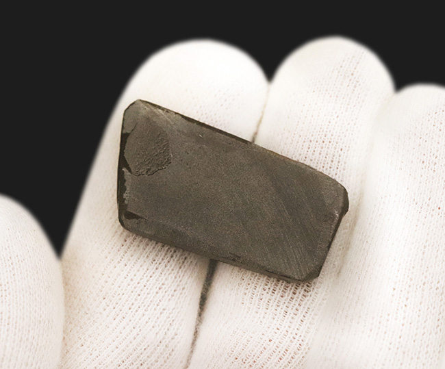 非常に深みのあるオレンジとグリーンが織りなす、生物起源の宝石「アンモライト(Ammolite)」のピース(その6)