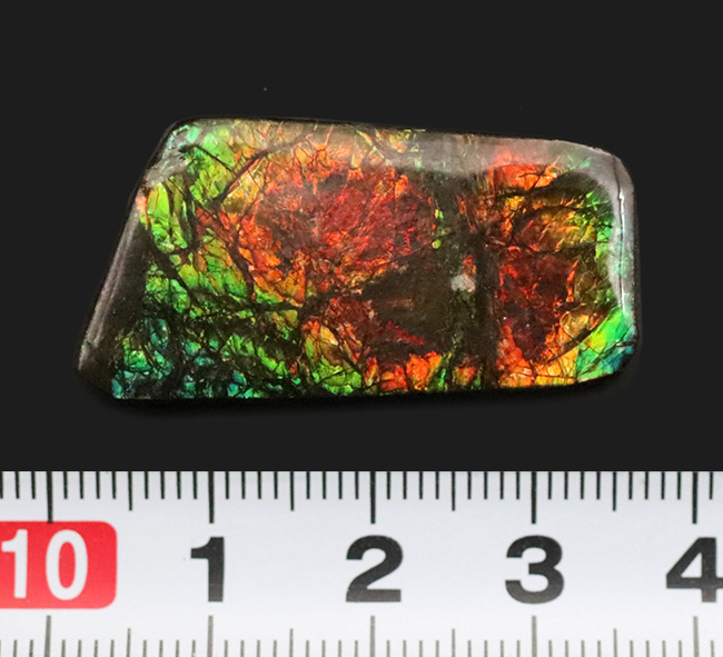 非常に深みのあるオレンジとグリーンが織りなす、生物起源の宝石「アンモライト(Ammolite)」のピース(その8)