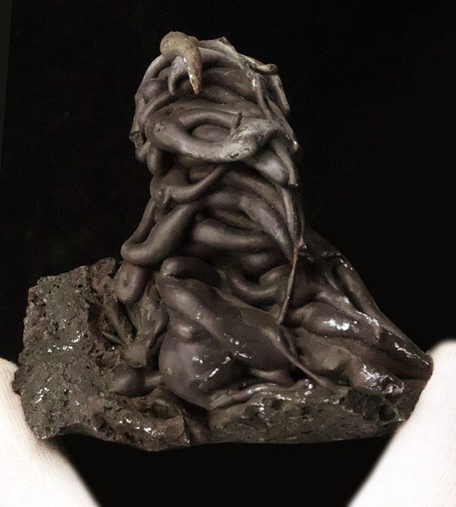 人気！垂直に重なり合う漆黒のうねり …… 火山が造り上げた無垢の芸術：ハワイ産パホイホイ溶岩（Pahoehoe lava）（その5）