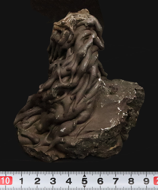 人気！垂直に重なり合う漆黒のうねり …… 火山が造り上げた無垢の芸術：ハワイ産パホイホイ溶岩（Pahoehoe lava）（その8）