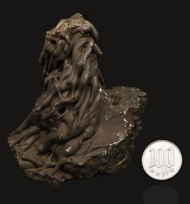 人気！垂直に重なり合う漆黒のうねり …… 火山が造り上げた無垢の芸術：ハワイ産パホイホイ溶岩（Pahoehoe lava）（その9）