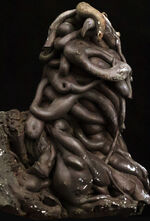 お客様の声　写真