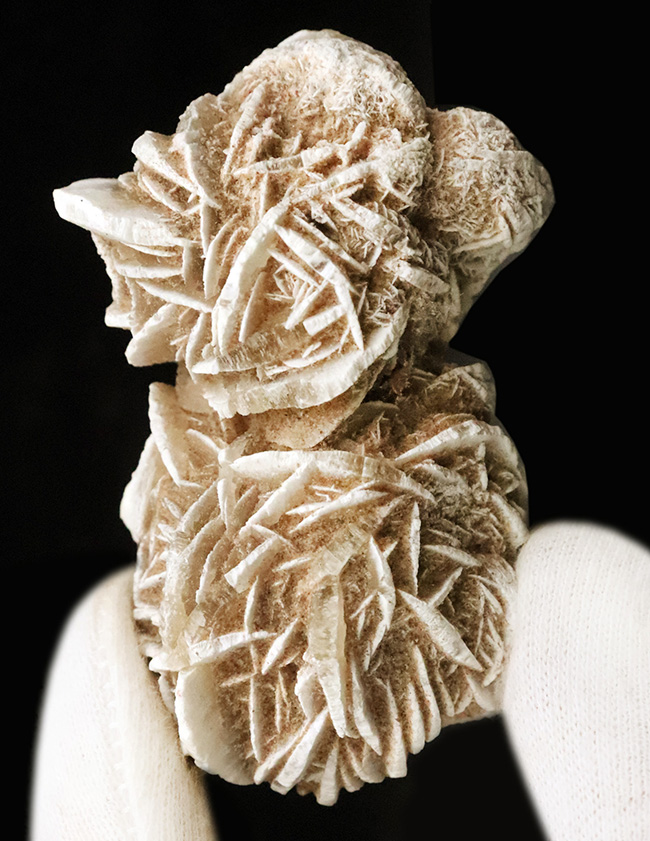 モロッコのサハラ砂漠で採取された、石膏から成る「砂漠の薔薇(Desert Rose)」(その2)