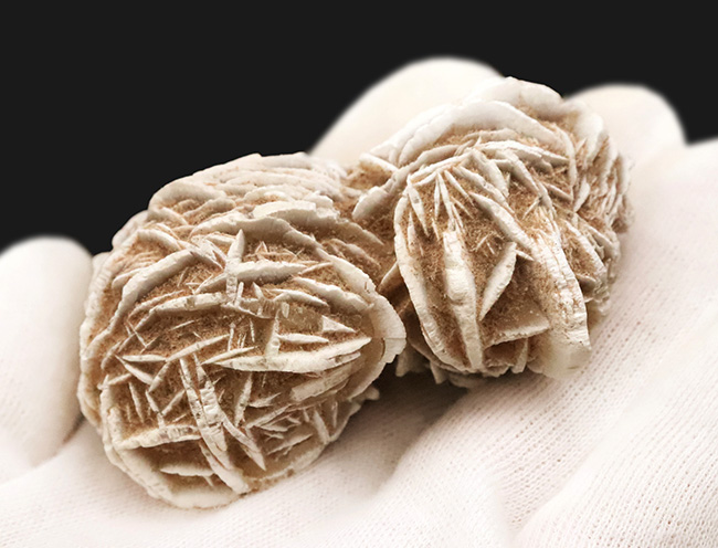 モロッコのサハラ砂漠で採取された、石膏から成る「砂漠の薔薇（Desert