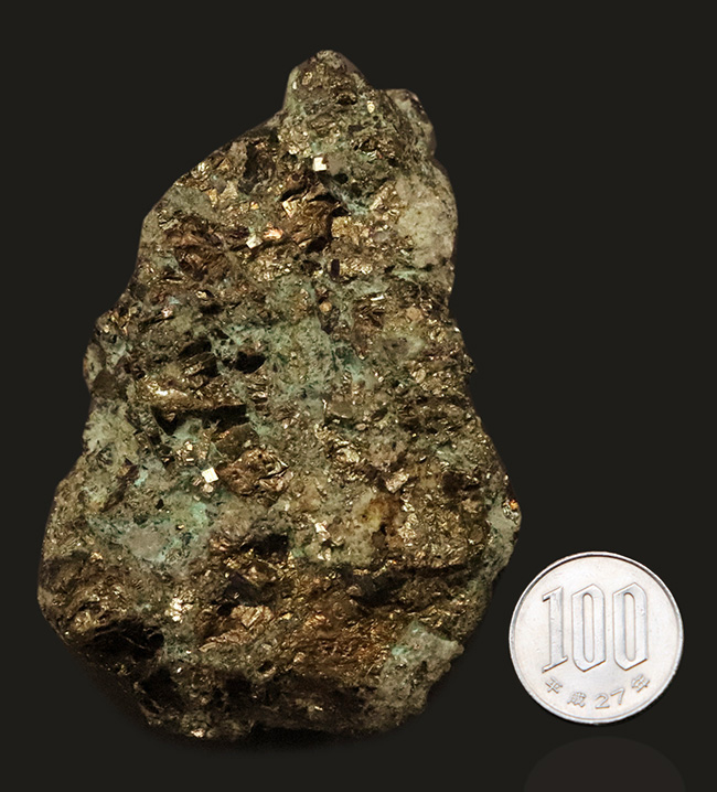 重量級！金色と緑が語る、銅の世界… 重量級・秋田県産　黄銅鉱（Chalcopyrite）原石（その8）