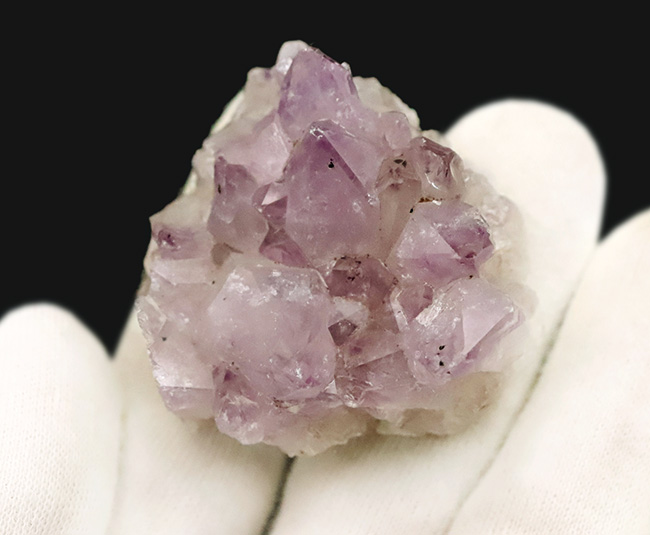 妖艶な紫が魅力的……自然が作り出した天然の宝石、アメシスト（Amethyst）のクラスター標本（その3）