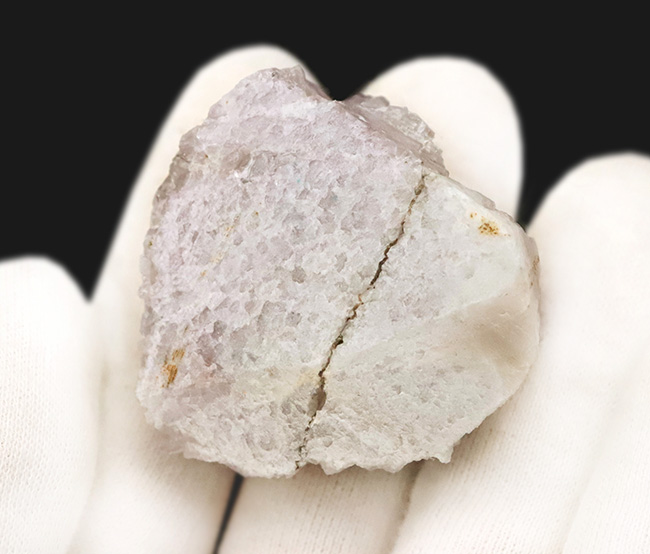 妖艶な紫が魅力的……自然が作り出した天然の宝石、アメシスト（Amethyst）のクラスター標本（その4）