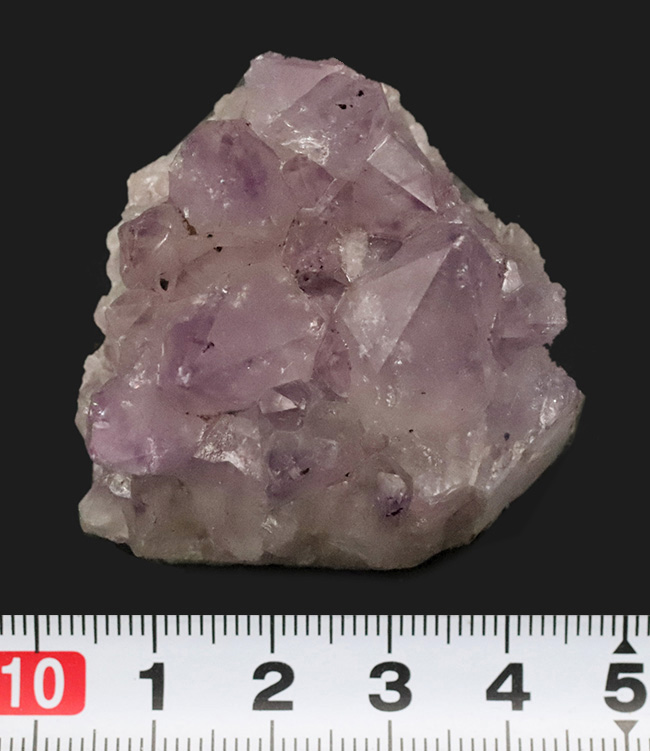 妖艶な紫が魅力的……自然が作り出した天然の宝石、アメシスト（Amethyst）のクラスター標本（その6）