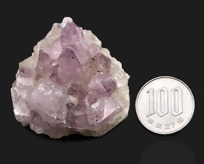 妖艶な紫が魅力的……自然が作り出した天然の宝石、アメシスト（Amethyst）のクラスター標本（その7）