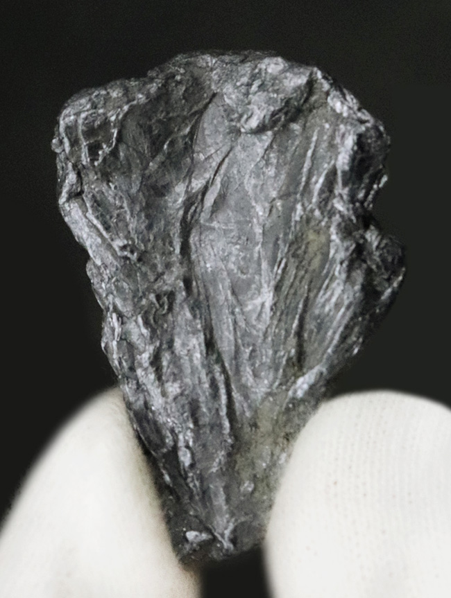 国内鉱物コレクター必見の平瀬産モリブデン。1970年（昭和45年）夏採集、閉山鉱山が遺した銀灰色の記憶（その1）