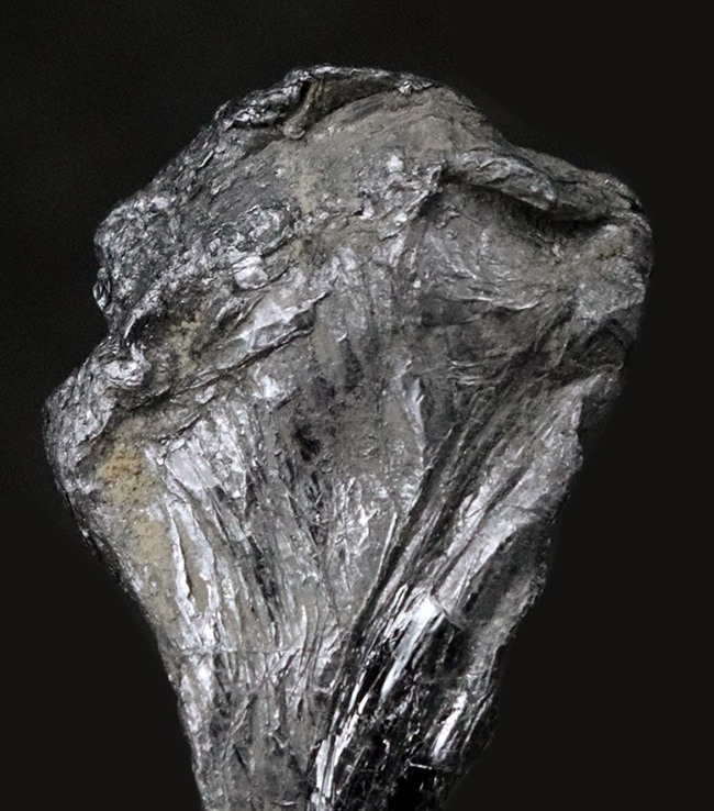 国内鉱物コレクター必見の平瀬産モリブデン。1970年（昭和45年）夏採集、閉山鉱山が遺した銀灰色の記憶（その2）