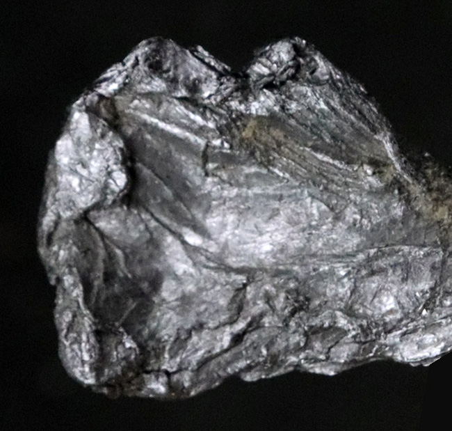 国内鉱物コレクター必見の平瀬産モリブデン。1970年（昭和45年）夏採集、閉山鉱山が遺した銀灰色の記憶（その5）