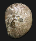 お客様の声　写真