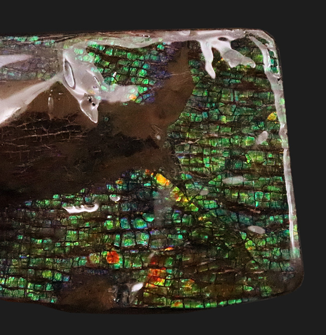 グリーンドラゴン! 非常に深みのある緑色を呈する、生物起源の宝石「アンモライト(Ammolite)」の一片(その3)