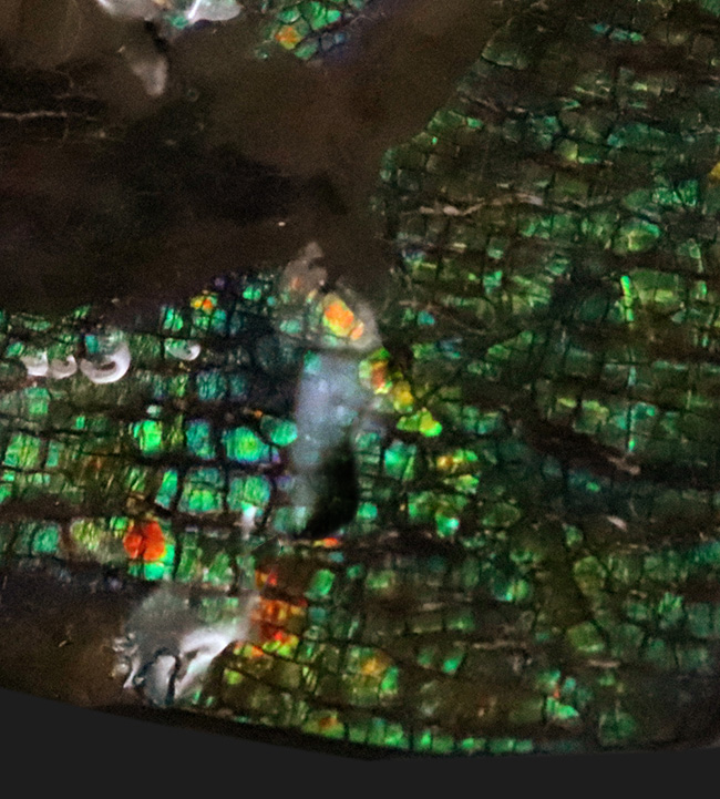 グリーンドラゴン! 非常に深みのある緑色を呈する、生物起源の宝石「アンモライト(Ammolite)」の一片(その4)