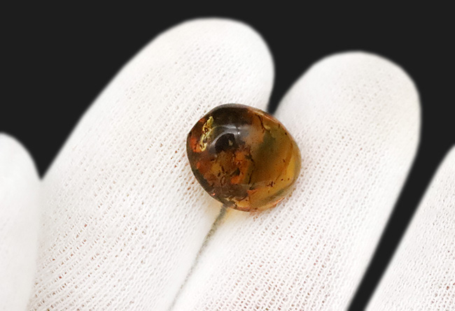 no.0006 実りの琥珀　四角いヘマタイト 標本の片側に内包物が集中！多種多様な内包物が見られる、約1億年前の