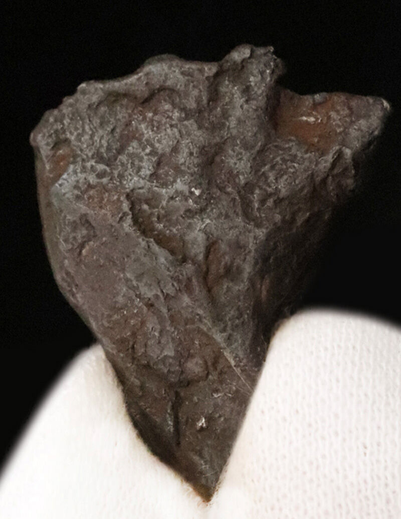 アリゾナ州の巨大クレーターを形成したキャニオン・ディアブロ（Canyon Diablo）隕石の原石。小粒ながら複雑な凹凸と鈍い金属光沢を楽しめる、存在感抜群のコレクションピースです。（その2）