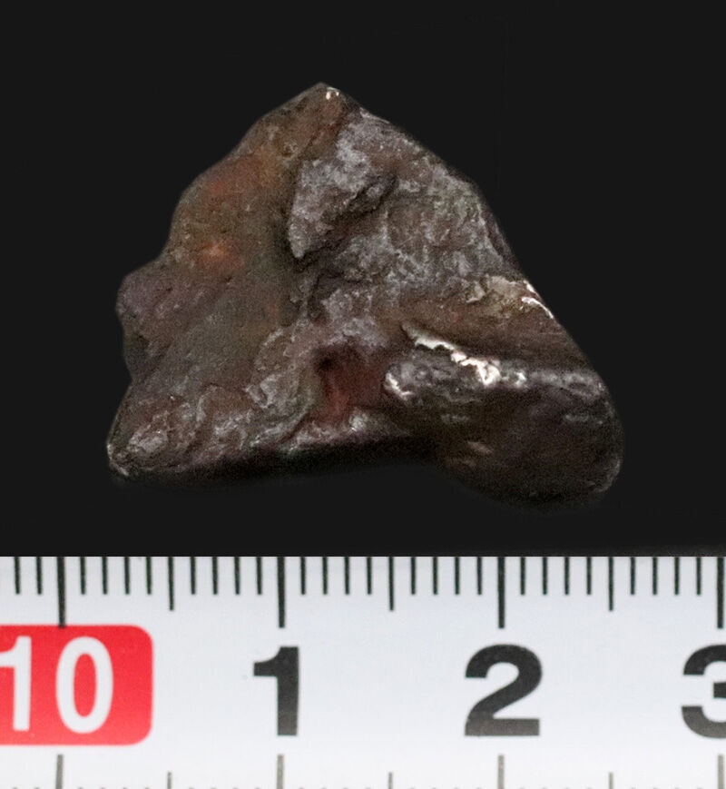 アリゾナ州の巨大クレーターを形成したキャニオン・ディアブロ（Canyon Diablo）隕石の原石。小粒ながら複雑な凹凸と鈍い金属光沢を楽しめる、存在感抜群のコレクションピースです。（その6）