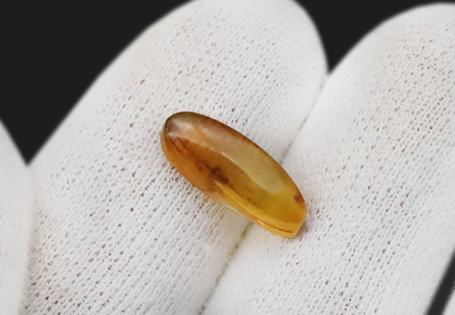 化石　B-9 透明度が高く美しい！虫を内包した恐竜時代の琥珀、バーマイト