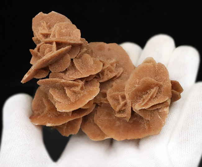 モロッコ・サハラ砂漠が生み出したアート、「砂漠のバラ（Desert Rose）」（その2）