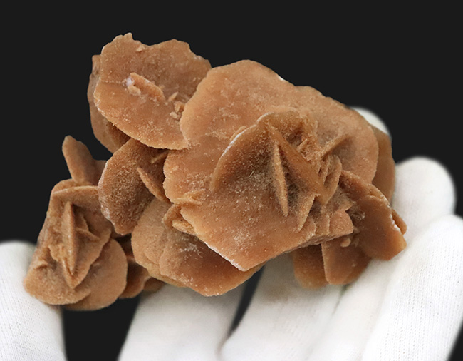 モロッコ・サハラ砂漠が生み出したアート、「砂漠のバラ（Desert Rose）」（その3）