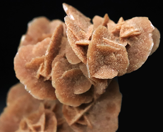 モロッコ・サハラ砂漠が生み出したアート、「砂漠のバラ（Desert Rose）」（その4）