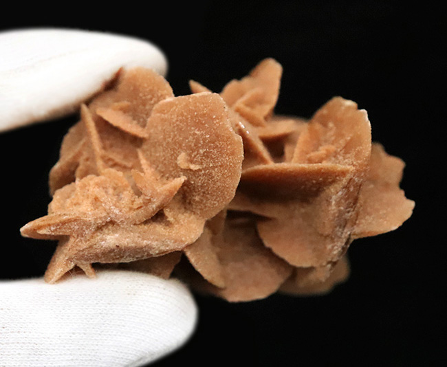 モロッコ・サハラ砂漠が生み出したアート、「砂漠のバラ（Desert Rose）」（その5）