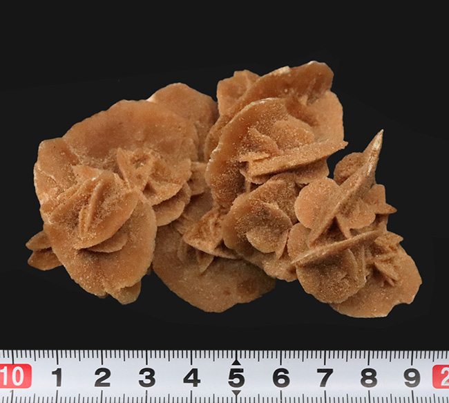 モロッコ・サハラ砂漠が生み出したアート、「砂漠のバラ（Desert Rose）」（その6）