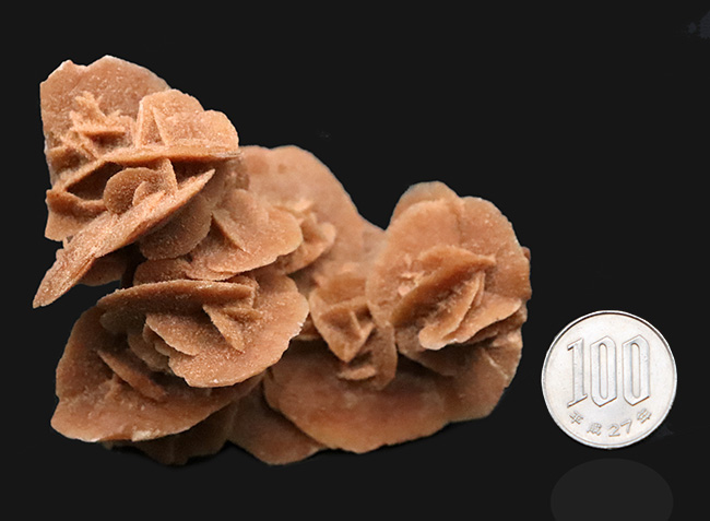 モロッコ・サハラ砂漠が生み出したアート、「砂漠のバラ（Desert Rose）」（その7）