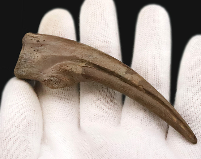 最安値★プログレ 配線図集（JCG1♯系）（全型対応）★送料無料 ◇プログレ配線図集 MC前後，全型対応 最終版 ◇新品整備書