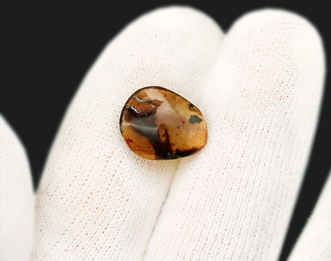 【ベリーレア！】9,900万年前からのタイムカプセル：大粒の「羽毛」が眠るミャンマー産琥珀（バーマイト：Burmite）（その9）