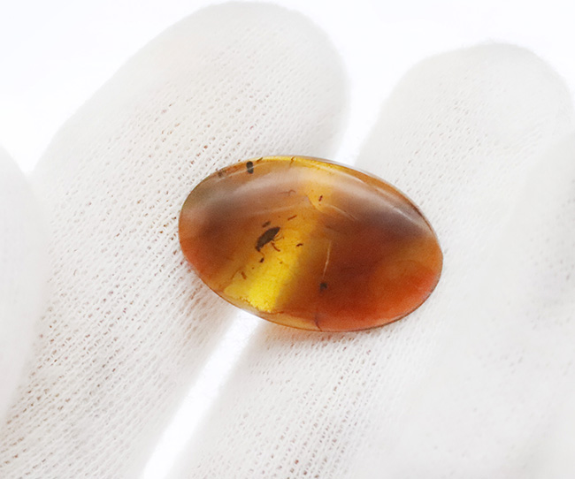 約1億年前の世界が眠る・・・恐竜時代の虫入り琥珀、バーマイト（Burmite）（その6）
