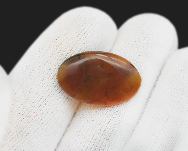 約1億年前の世界が眠る・・・恐竜時代の虫入り琥珀、バーマイト（Burmite）（その7）