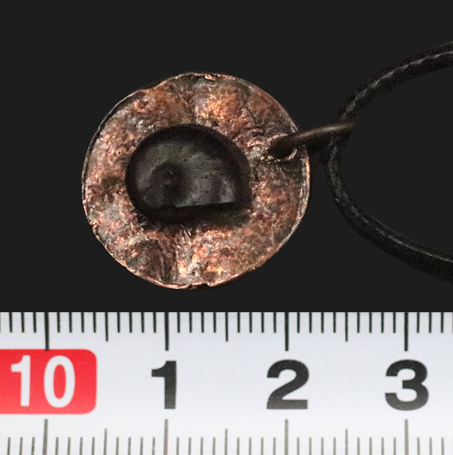 自然物ならではの“唯一無二”感……モロッコ産アンモナイト（Ammonite）をあしらった、渋さが際立つペンダントトップ（紐付き）（その5）