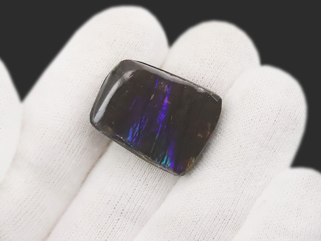 ブルー＆バイオレット、希少な寒色系の色を呈する、神秘的なアンモライト（Ammolite）のピース（その3）