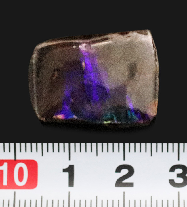 ブルー＆バイオレット、希少な寒色系の色を呈する、神秘的なアンモライト（Ammolite）のピース（その6）